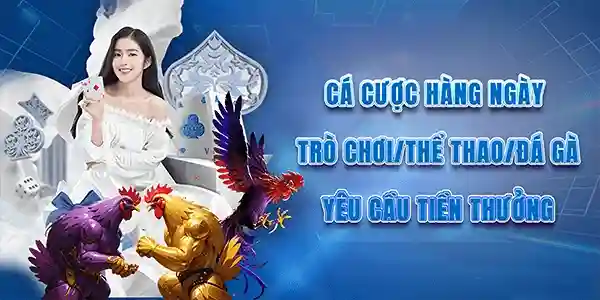Tin Tức 123D